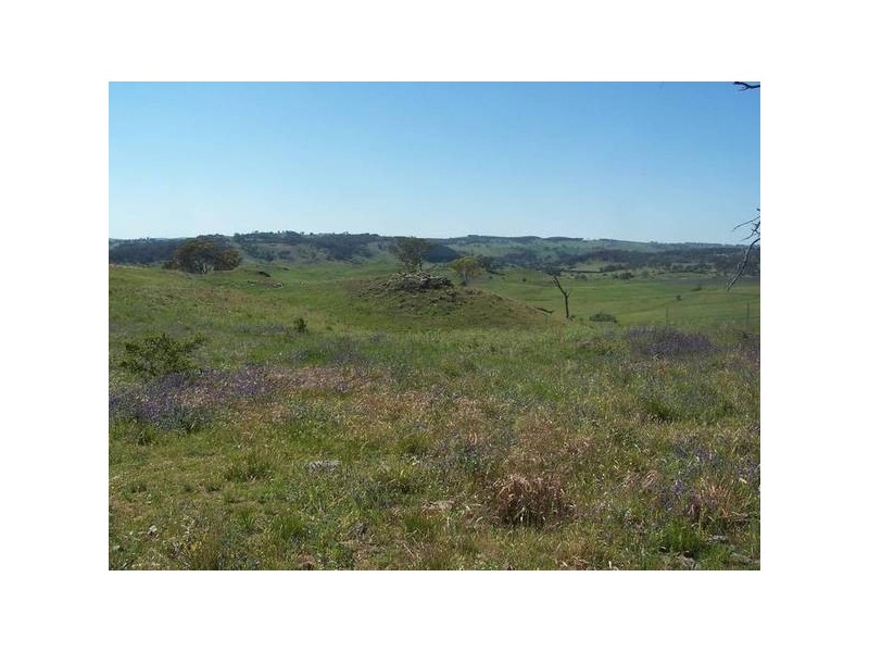 Lot 3 Icely Road, EMU SWAMP/BYNG, Orange NSW 2800