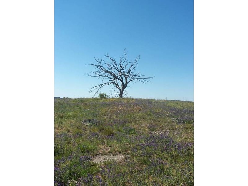 Lot 3 Icely Road, EMU SWAMP/BYNG, Orange NSW 2800