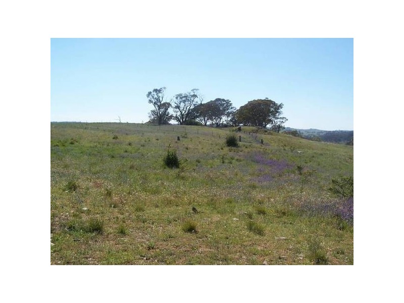 Lot 3 Icely Road, EMU SWAMP/BYNG, Orange NSW 2800