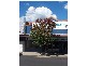 194 Lords Place, Orange NSW 2800