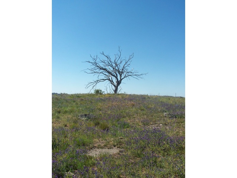 507 Burrendong Way, Orange NSW 2800