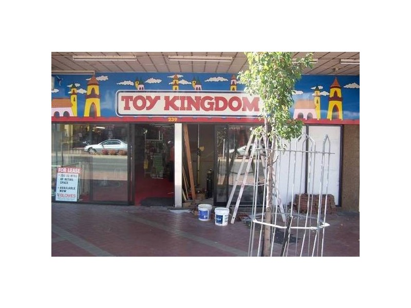 241 Summer Street, Orange NSW 2800