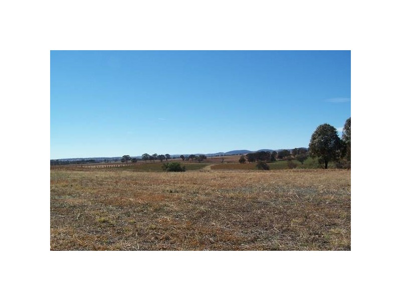 Daveys Plains Road, Cudal NSW 2864
