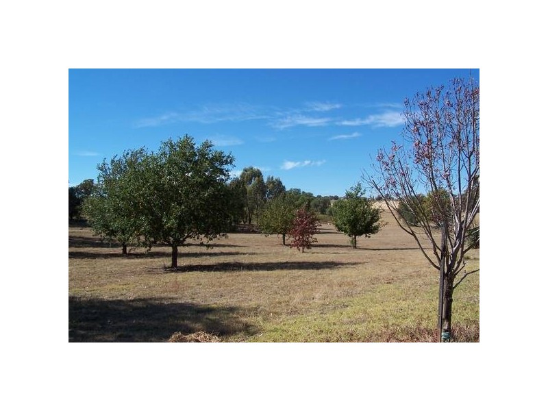 Daveys Plains Road, Cudal NSW 2864