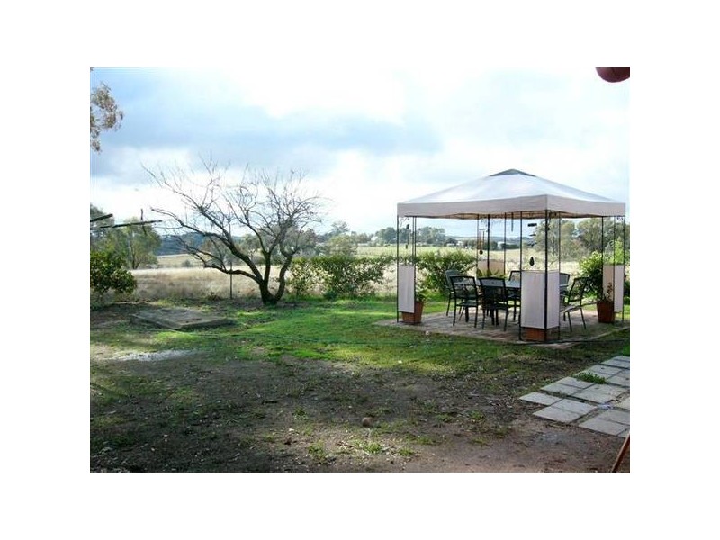 210 Packham Drive, Molong NSW 2866