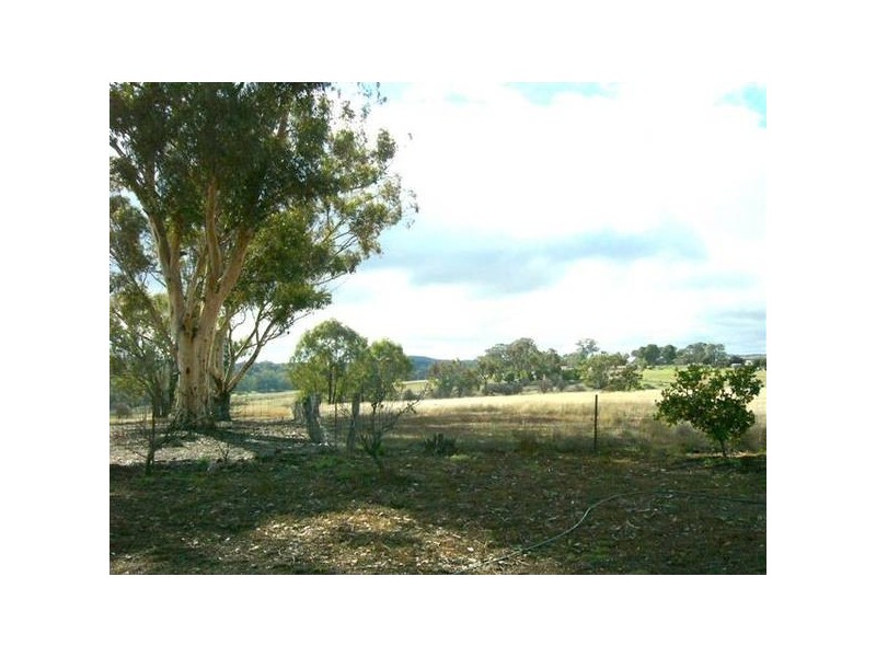 210 Packham Drive, Molong NSW 2866