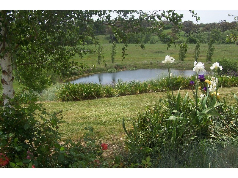 Cargo Road, Orange NSW 2800