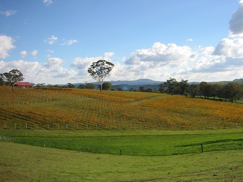 719 Icely Road, Orange NSW 2800