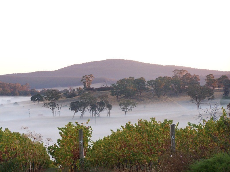 719 Icely Road, Orange NSW 2800