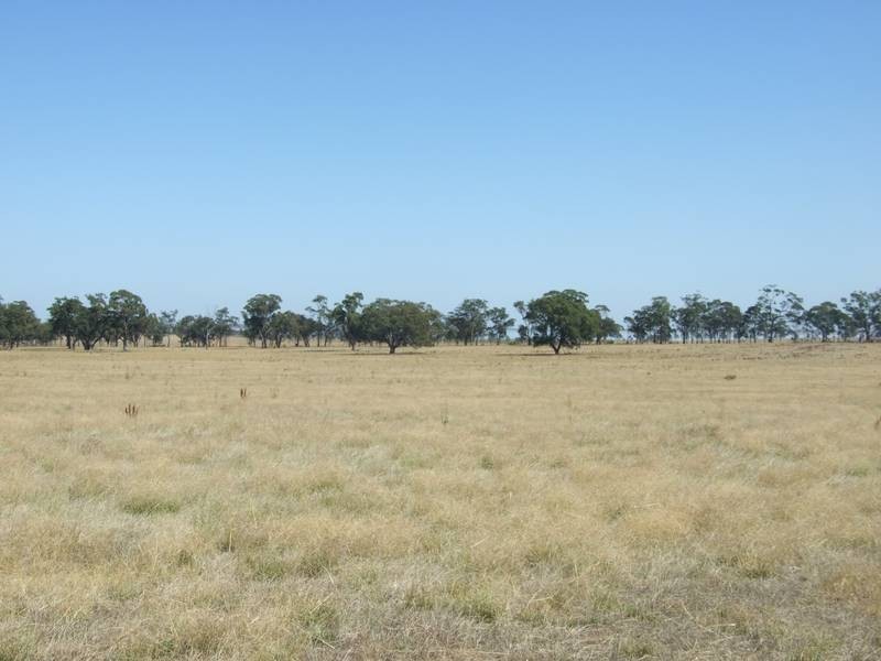 Murchison VIC 3610