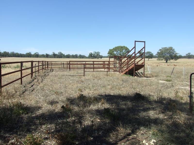 Murchison VIC 3610