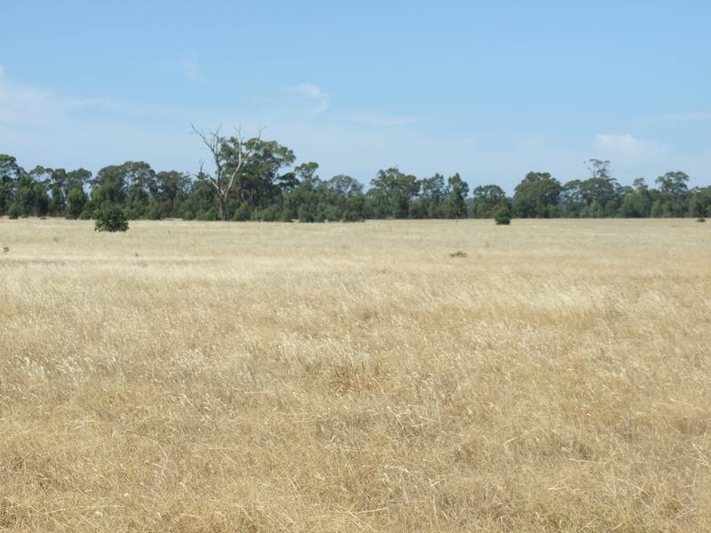 Murchison VIC 3610