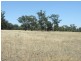 Murchison VIC 3610