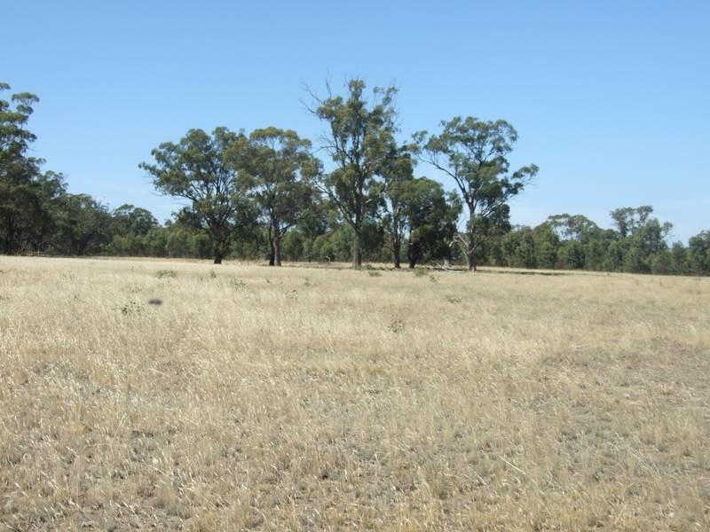 Murchison VIC 3610