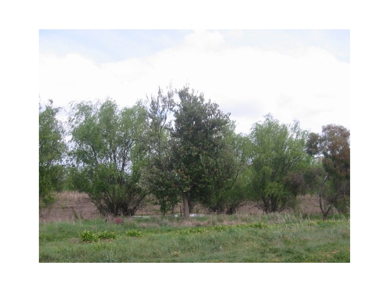 210 Tatura/Murchison Road, Murchison VIC 3610