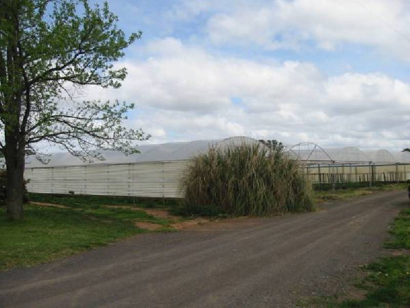 Murchison/ Tatura Road, Murchison VIC 3610