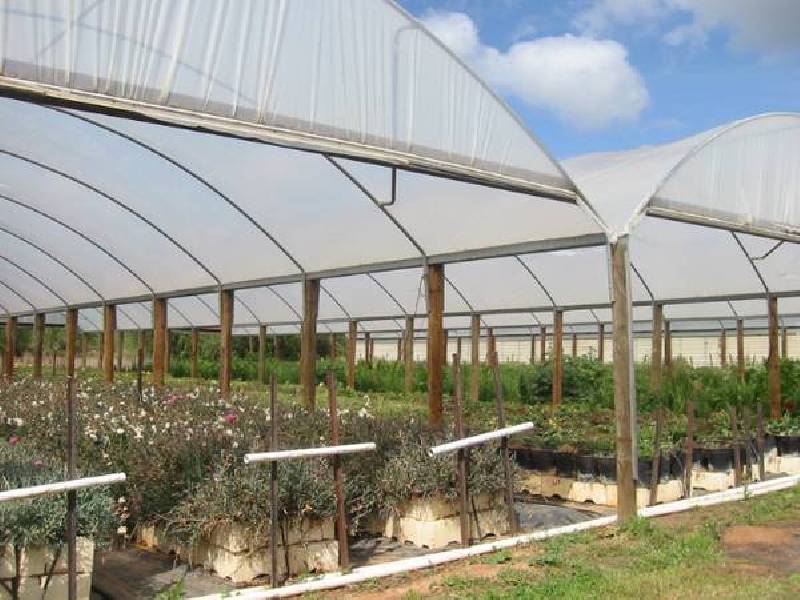 Murchison/ Tatura Road, Murchison VIC 3610