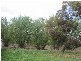 Murchison/ Tatura Road, Murchison VIC 3610