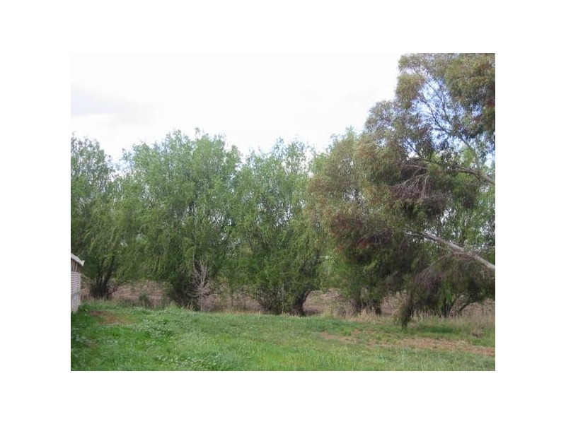 Murchison/ Tatura Road, Murchison VIC 3610