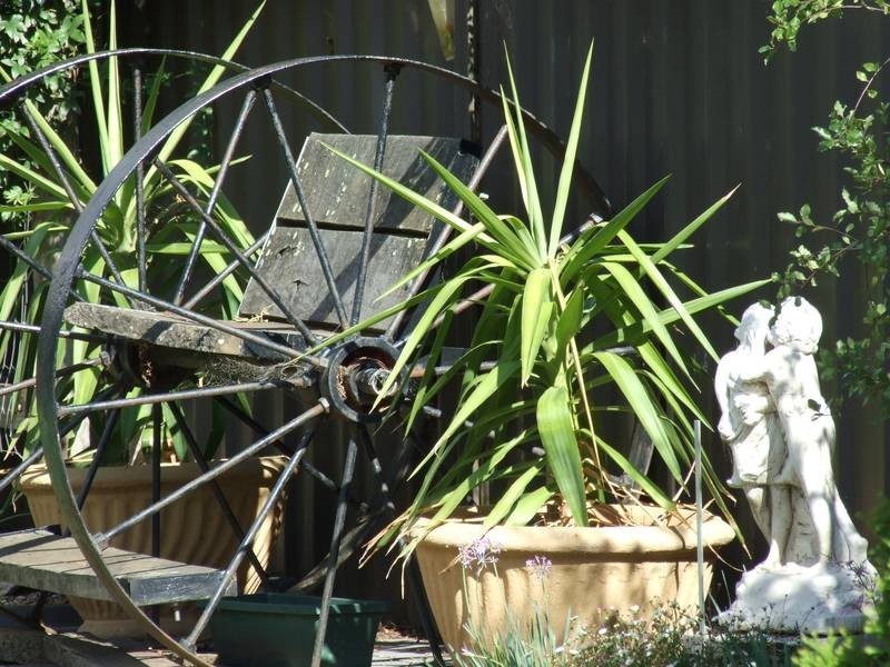 Tatura VIC 3616