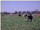Langham Road, Toolamba VIC 3614