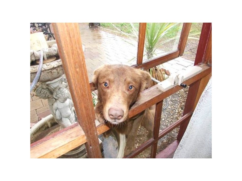 49 Casey Street, Tatura VIC 3616