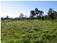 Tatura VIC 3616
