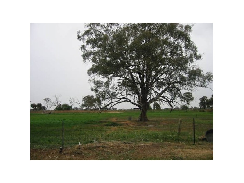 1748 Davies Road, Undera VIC 3629