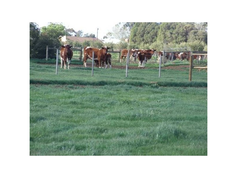 3579 Midland Highway, Stanhope VIC 3623