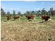 3579 Midland Highway, Stanhope VIC 3623