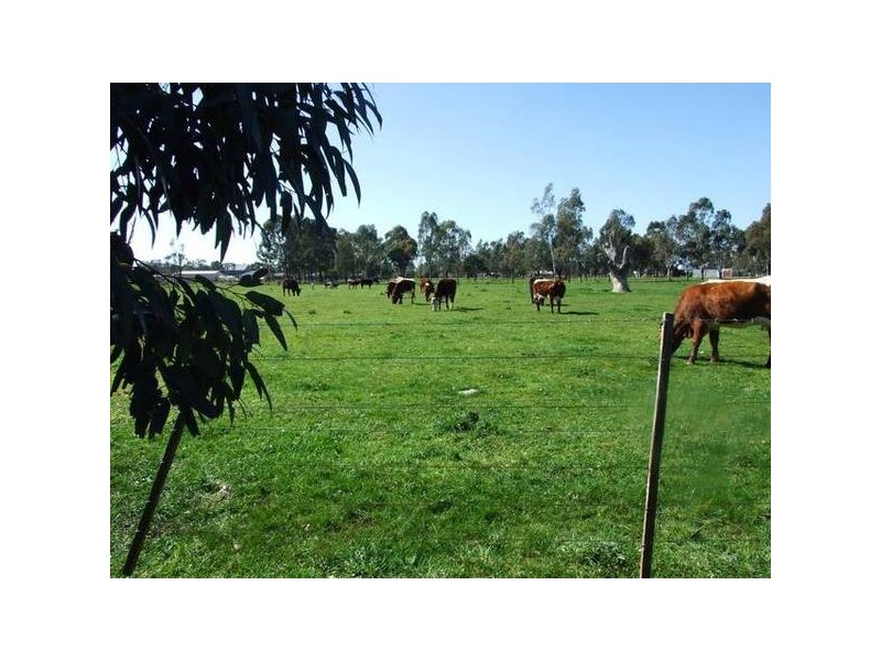 3579 Midland Highway, Stanhope VIC 3623