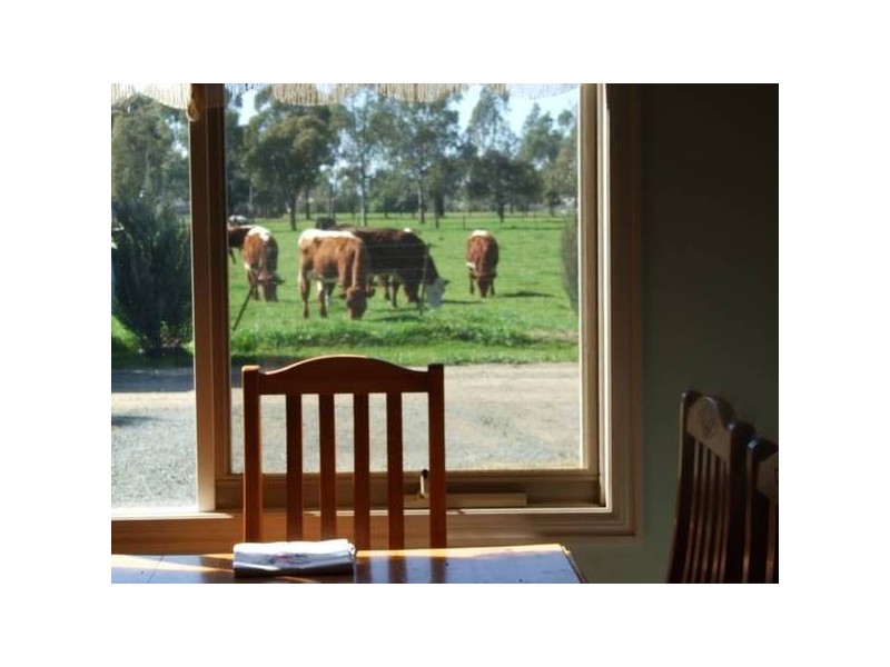 3579 Midland Highway, Stanhope VIC 3623
