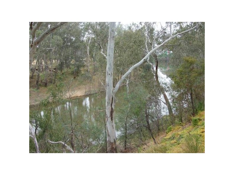 Murchison VIC 3610