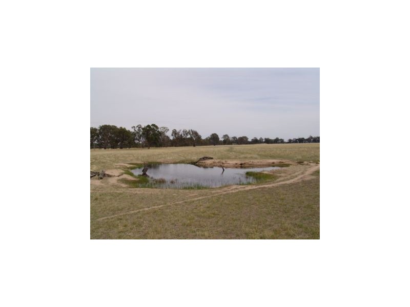 1592 Kirwans Bridge/Londwood Road, Nagambie VIC 3608
