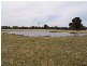 1592 Kirwans Bridge/Londwood Road, Nagambie VIC 3608