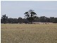 1592 Kirwans Bridge/Londwood Road, Nagambie VIC 3608