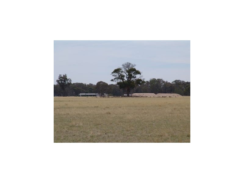 1592 Kirwans Bridge/Londwood Road, Nagambie VIC 3608
