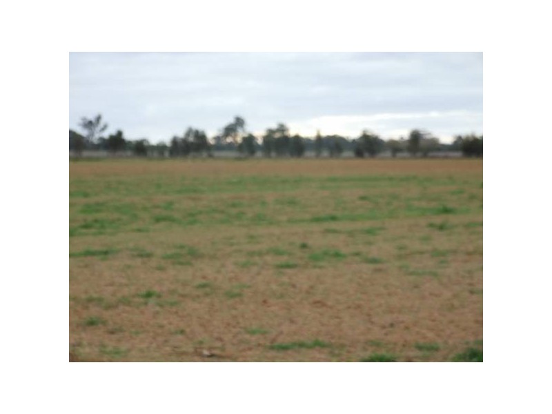 Harston VIC 3616