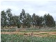 Harston VIC 3616