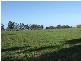 Ardmona VIC 3629