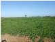 Ardmona VIC 3629