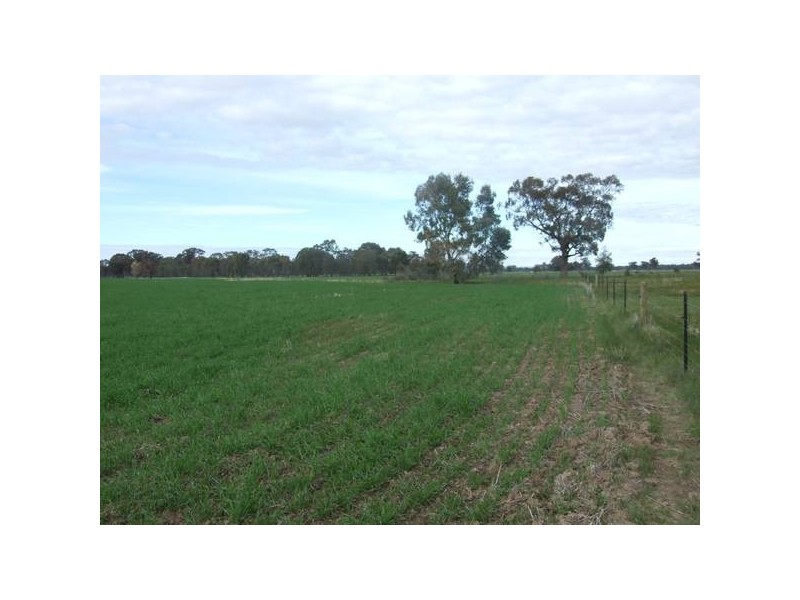 Arcadia South VIC 3631