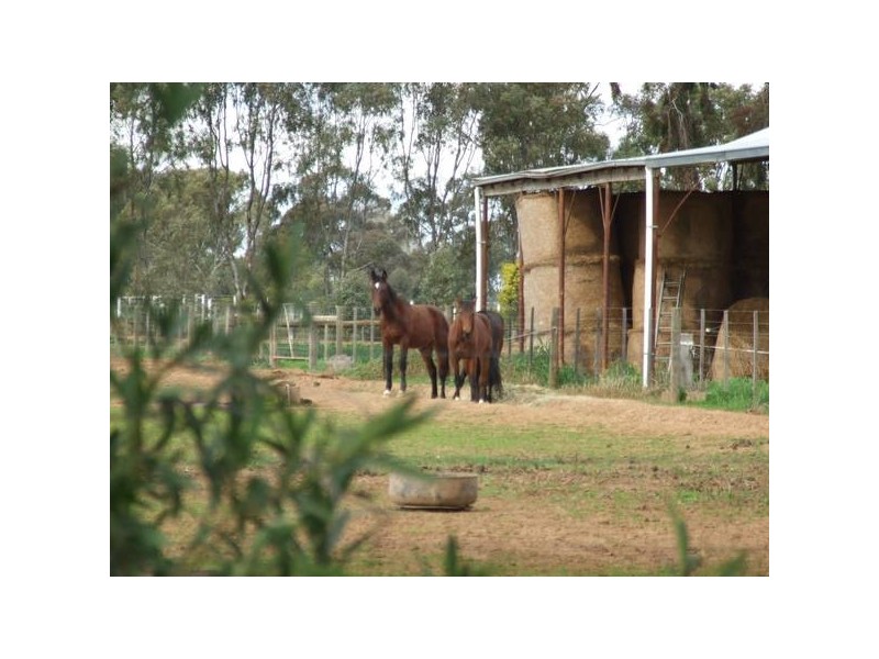 Byrneside VIC 3617