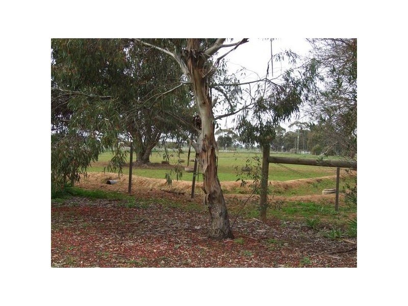 Byrneside VIC 3617