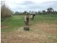 Tatura VIC 3616