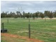 Tatura VIC 3616