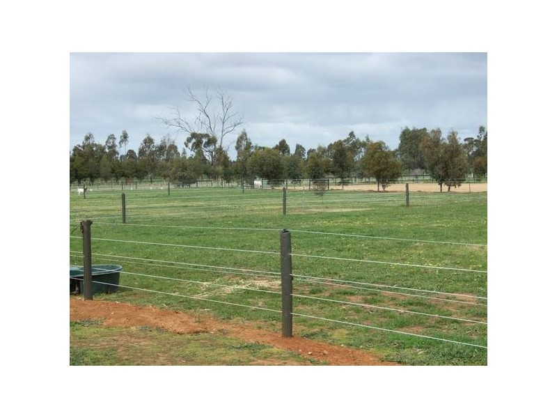 Tatura VIC 3616