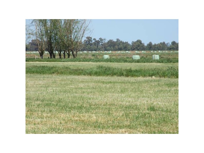 Tatura VIC 3616