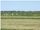 Tatura VIC 3616