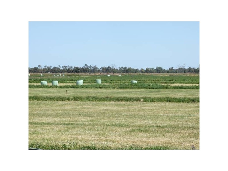Tatura VIC 3616